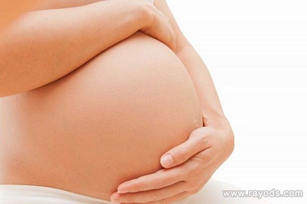孕妇的健康粥，温和滋补，简单易做