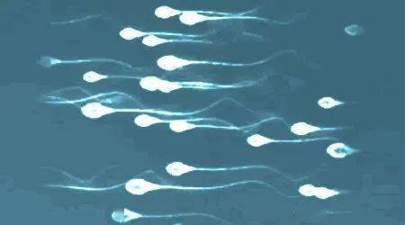 如何解读助孕器的防伪问题助孕器的保质期是多久？