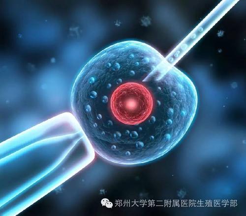 杭州双胞胎助孕费用-杭州中医院三代试管婴儿价格