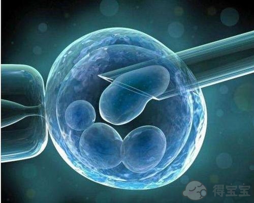 2022年杭州红十字会医院生殖医学科的试管婴儿专家推荐!
