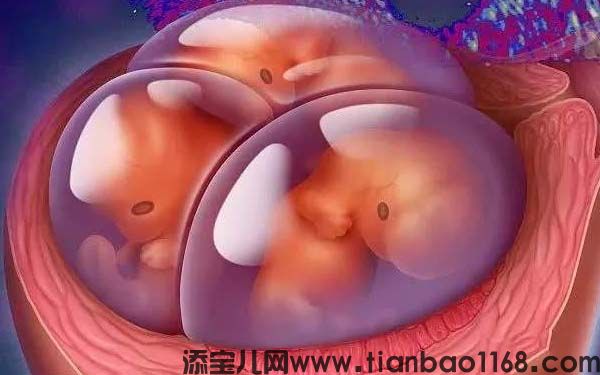 周口供卵试管包成功：试管婴儿周期与囊胚移植的成功率有关吗？