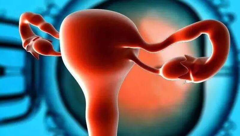 赣州供卵试管助孕包性别套餐-试管婴儿胚胎移植的优势和劣势是什么？